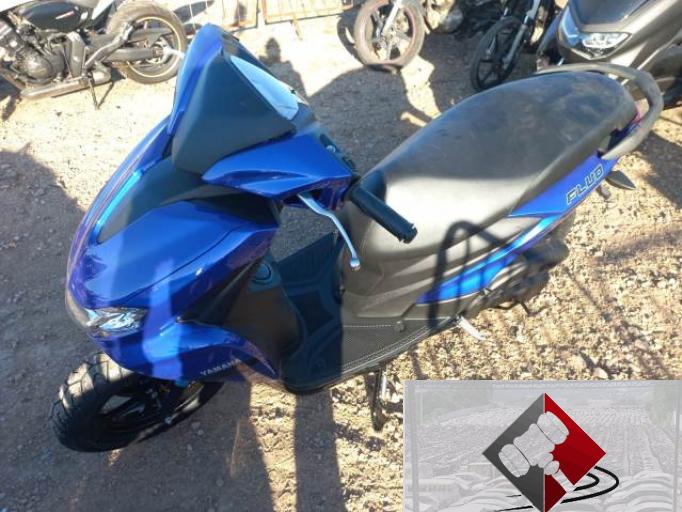 YAMAHA FLUO 23/24