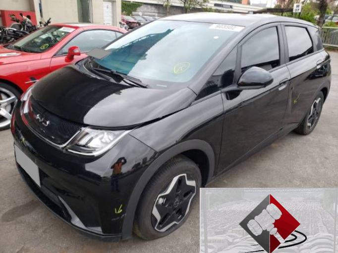 BYD DOLPHIN 23/23