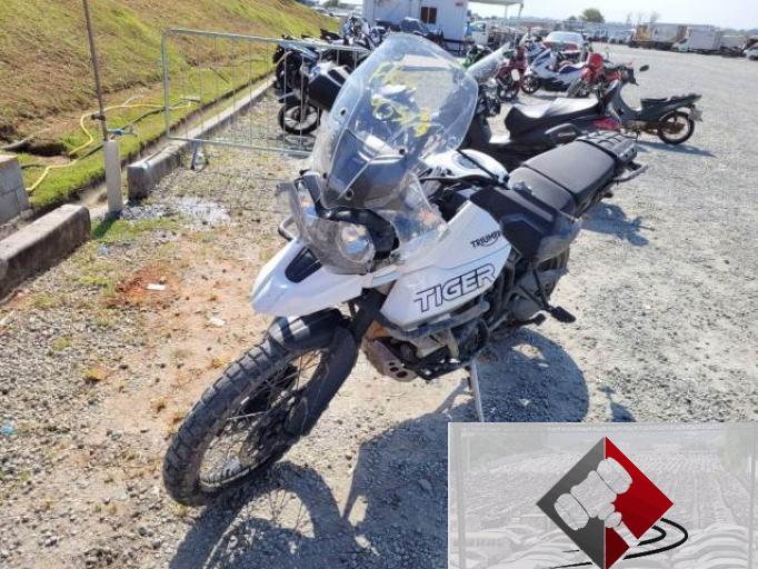 TRIUMPH TIGER 20/20
